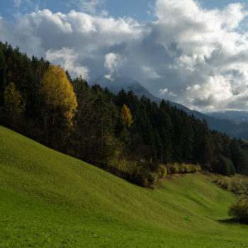 Wonderful forests and meadows at the foot of the Seiser Alm