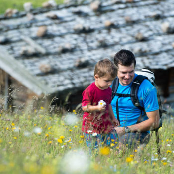 The Seiser Alm, ideal for family hikes